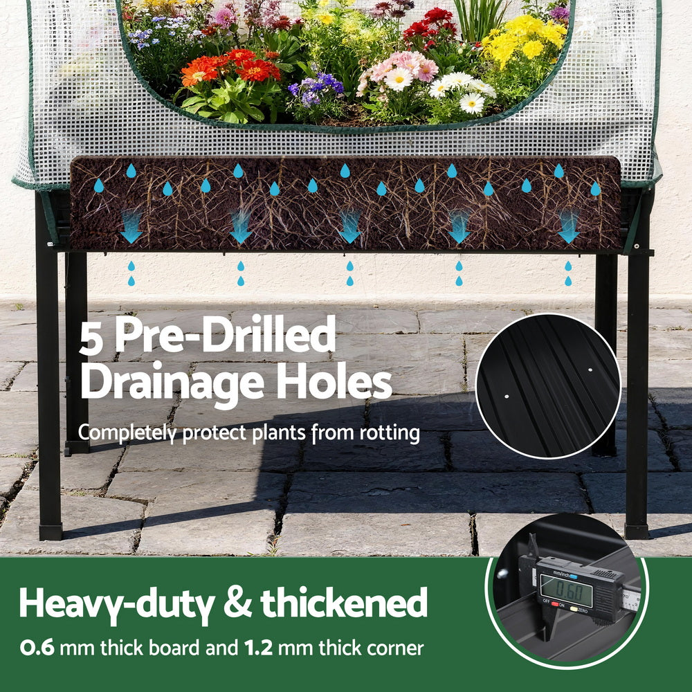 Green Fingers Elevated Garden Bed with Mini Greenhouse Cover – 116 x 60cm
